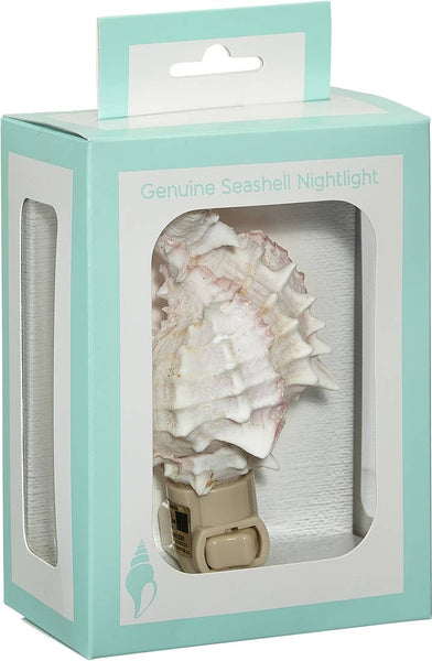 HS Seashells - Pink Murex Boxed LED Night Light