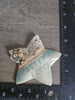 Teal Turtle Studio - Custom Sandy Starfish Ceramic Ornament