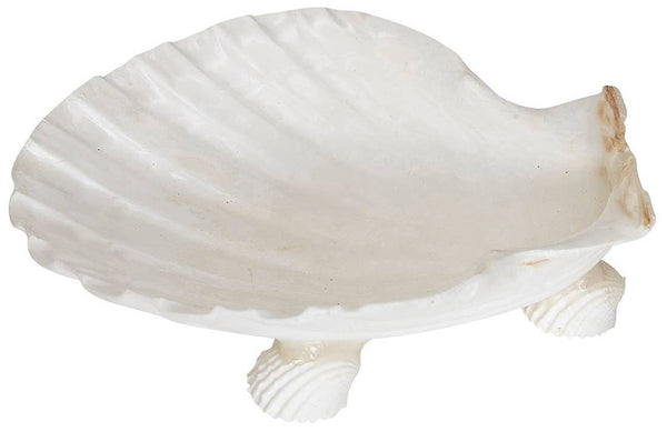 HS Seashells - Irish Deep 4" Serving Dish W/ Shell Legs