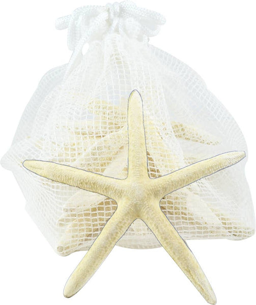 HS Seashells - Ten White Finger Starfish Pack