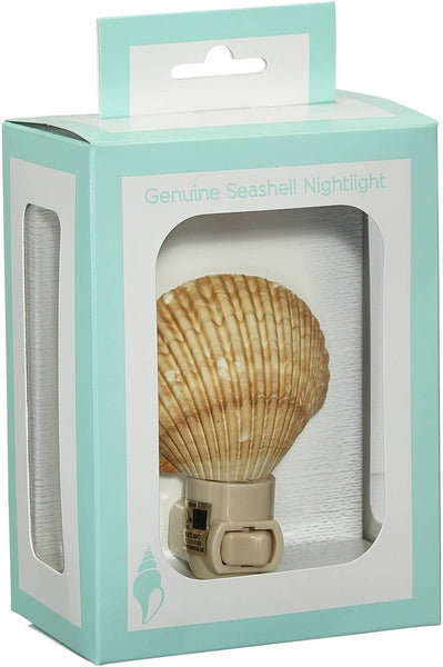 HS Seashells - Mexican Deep Scallop Boxed LED Night Light