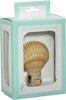 HS Seashells - Mexican Deep Scallop Boxed LED Night Light