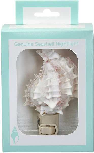 HS Seashells - Pink Murex Boxed LED Night Light