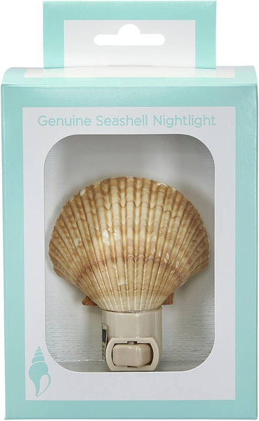 HS Seashells - Mexican Deep Scallop Boxed LED Night Light