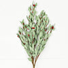 Impressive Enterprises, Inc. - 29463- 20in Spray-Seafoam Leaves with Red Pips