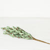 Impressive Enterprises, Inc. - 29463- 20in Spray-Seafoam Leaves with Red Pips