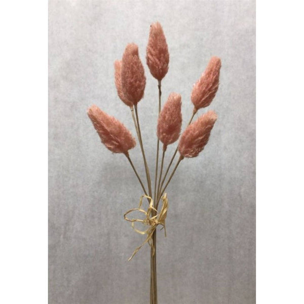 David Christopher's Collection - Amaranth Pick Bundle x 7 - Pink